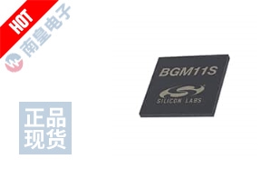 BGM11S12F256GA-V2R ͼƬ